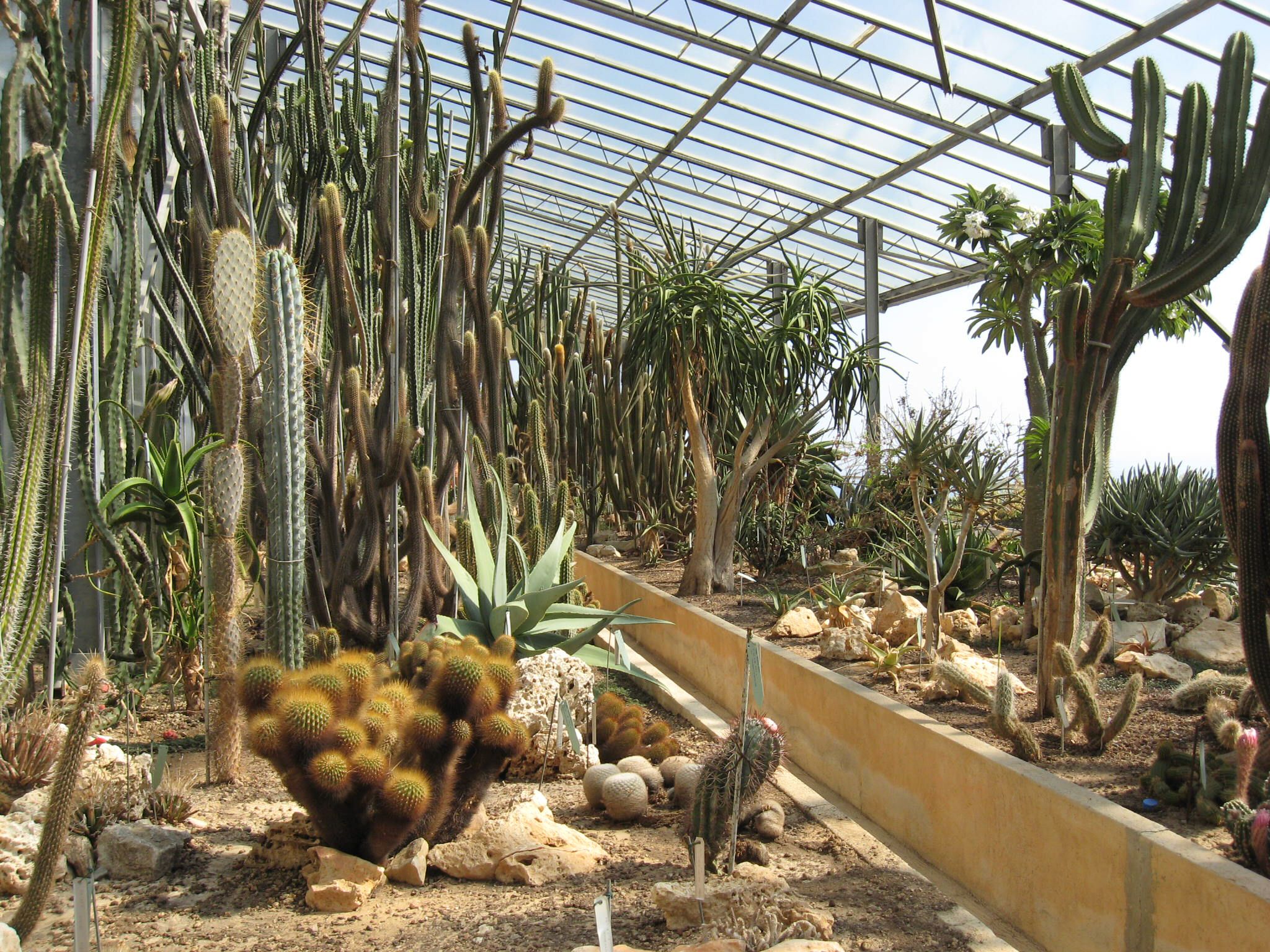 jardin exotique.jpg